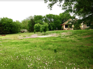 wildflower field at Oakcreek cohousing